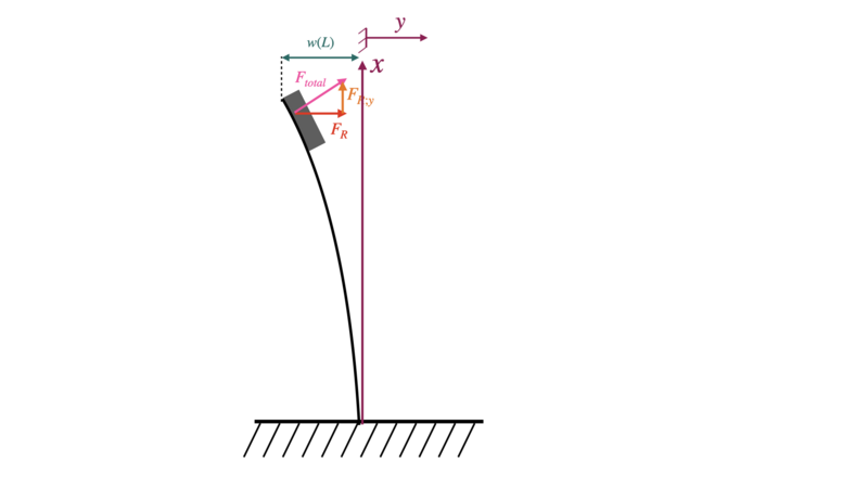 Datei:Hooke'sches gesetz.png