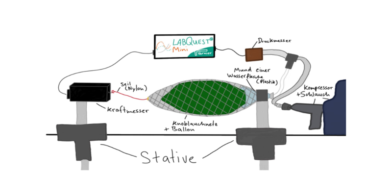 Datei:Screenshot 2024-05-23 4.41.57 PM.png