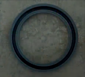 Torus Vogelperspektive.png