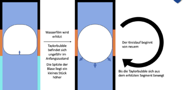 TaylorBubble PeriodenEnde PHT.png