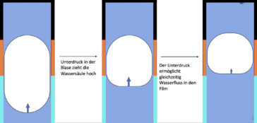 TaylorBubble 2 PHT.png